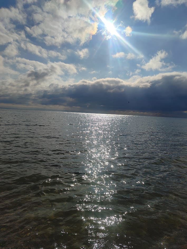 mare