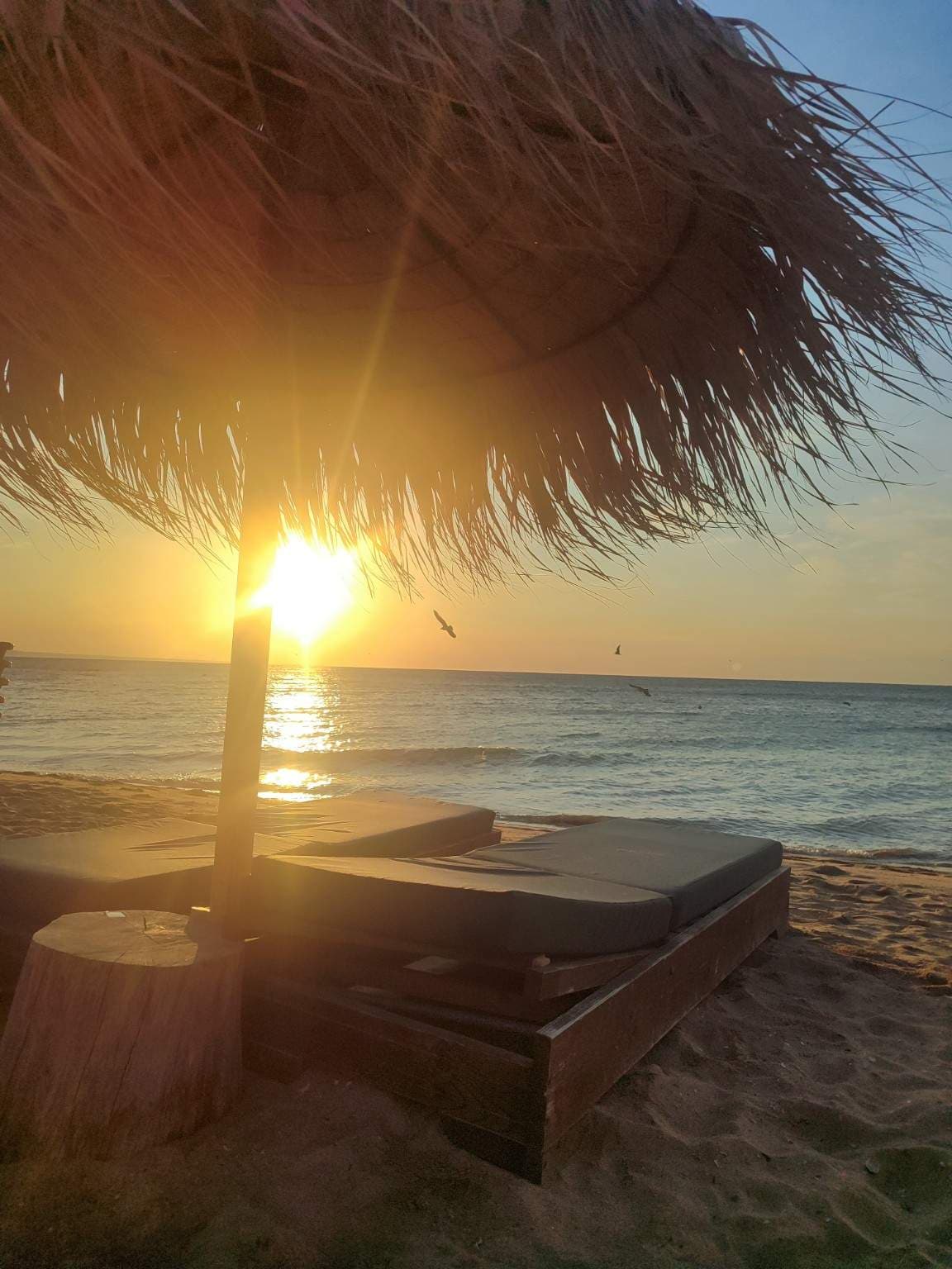 Întoarcerea către noi înșine